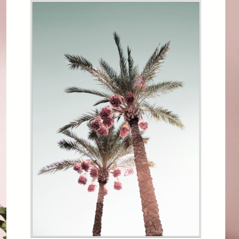 Pink coconut tree 60x90cm canvas A0236